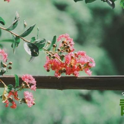 火狐体育APP下载