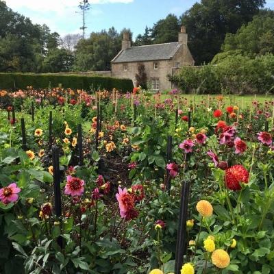 风云体育app下载官网