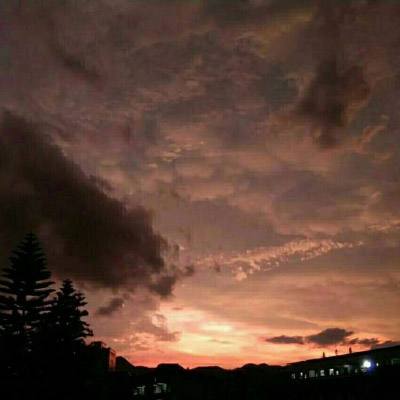 196体育(官方)APP下载安装截图