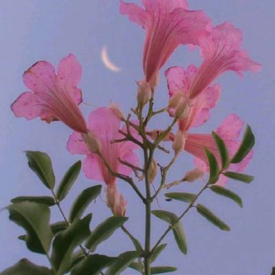 beplayapp下载登录