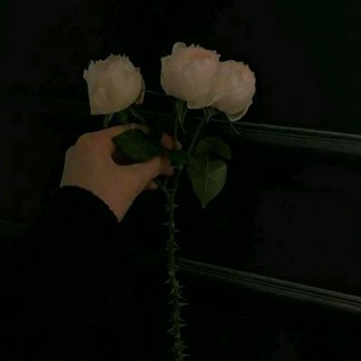 江南体育官网入口